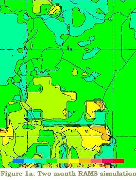 RAMS simulation for current vegetation.