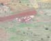 Maasai_cultivation